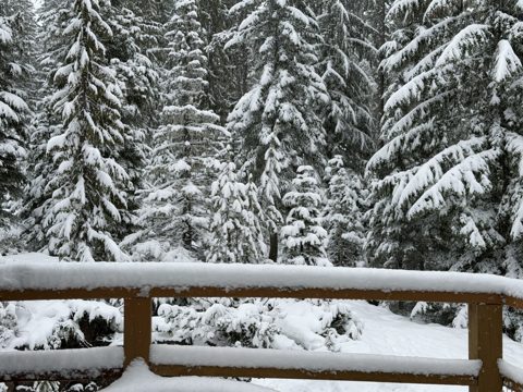 The view off the back deck